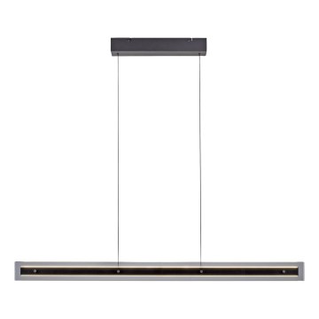 Schöner Wohnen 11316-18 - Lustre pendente LED dimerizável em cabo LENA LED/32W/230V 105 cm preto