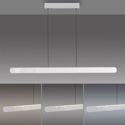 Schöner Wohnen 12577-16 - Lustre LED regulável suspenso por cabo ADRIANA ROUND 2xLED/24W/230V 2700/3000/3500/4000/5000K branco