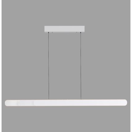 Schöner Wohnen 12577-16 - Lustre LED regulável suspenso por cabo ADRIANA ROUND 2xLED/24W/230V 2700/3000/3500/4000/5000K branco