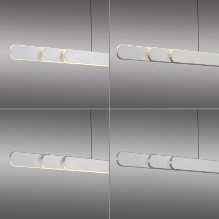 Schöner Wohnen 12577-16 - Lustre LED regulável suspenso por cabo ADRIANA ROUND 2xLED/24W/230V 2700/3000/3500/4000/5000K branco