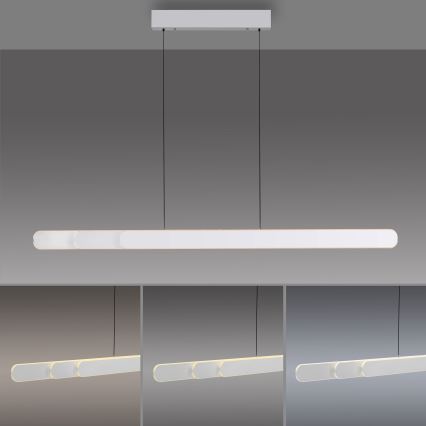 Schöner Wohnen 12577-16 - Lustre dimerizável suspenso por cabo ADRIANA ROUND 2xLED/24W/230V 2700/3000/3500/4000/5000K 160 cm branco