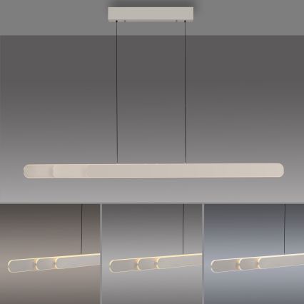 Schöner Wohnen 12577-39 - Lustre pendente LED regulável por dimmer em cabo ADRIANA ROUND 2xLED/24W/230V 2700/3000/3500/4000/5000K 160 cm cinzento