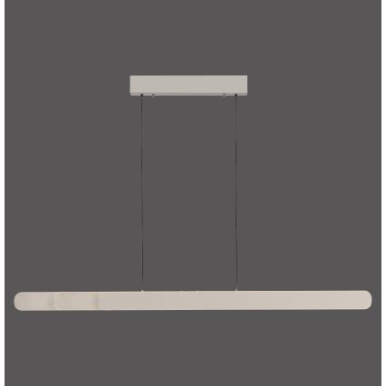 Schöner Wohnen 12577-39 - Lustre pendente LED regulável por dimmer em cabo ADRIANA ROUND 2xLED/24W/230V 2700/3000/3500/4000/5000K 160 cm cinzento