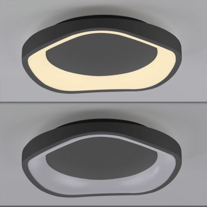 Schöner Wohnen 14233-18 - Candeeiro de tecto LED regulável MONTA LED/21W/230V Ø 40 cm preto