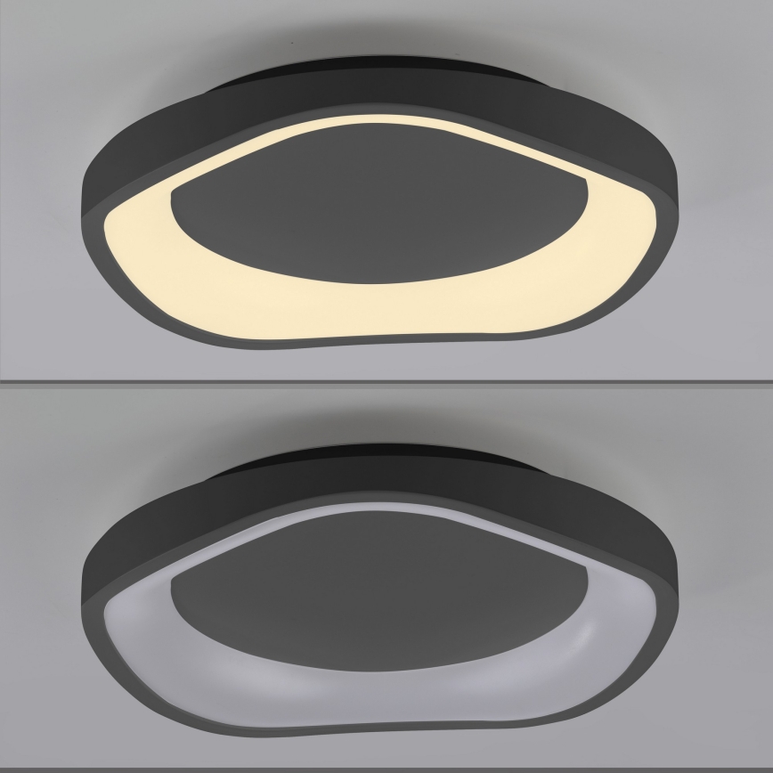 Schöner Wohnen 14233-18 - Candeeiro de tecto LED regulável MONTA LED/21W/230V Ø 40 cm preto