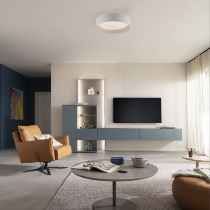 Schöner Wohnen 14593-39 - Candeeiro de tecto LED dimerizável TAVOLI, 10 W, 230 V, 2700–6500 K, Ø 28,5 cm, cinzento + controlo remoto