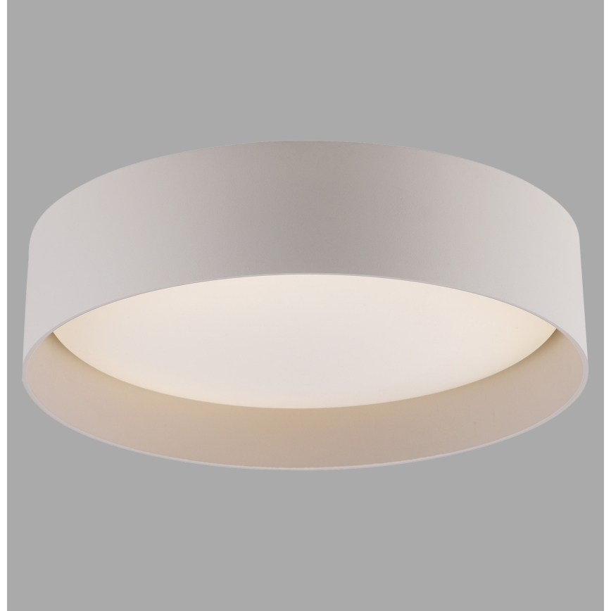 Schöner Wohnen 14593-39 - Candeeiro de tecto LED dimerizável TAVOLI, 10 W, 230 V, 2700–6500 K, Ø 28,5 cm, cinzento + controlo remoto