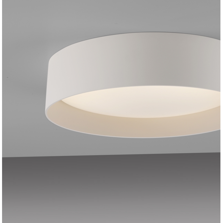 Schöner Wohnen 14593-39 - Candeeiro de tecto LED dimerizável TAVOLI, 10 W, 230 V, 2700–6500 K, Ø 28,5 cm, cinzento + controlo remoto