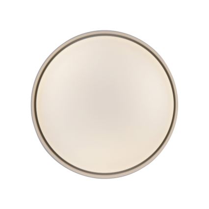 Schöner Wohnen 14593-39 - Candeeiro de tecto LED dimerizável TAVOLI, 10 W, 230 V, 2700–6500 K, Ø 28,5 cm, cinzento + controlo remoto