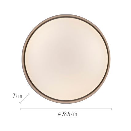 Schöner Wohnen 14593-39 - Candeeiro de tecto LED dimerizável TAVOLI, 10 W, 230 V, 2700–6500 K, Ø 28,5 cm, cinzento + controlo remoto