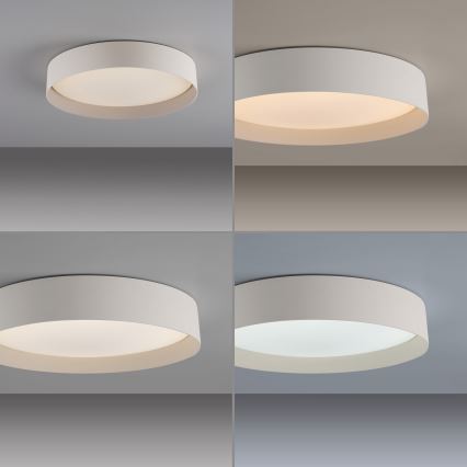 Schöner Wohnen 14594-39 - Candeeiro de tecto LED dimmerizável TAVOLI LED/20W/230V 2700-6500K diâmetro 39 cm cinzento + controlo remoto
