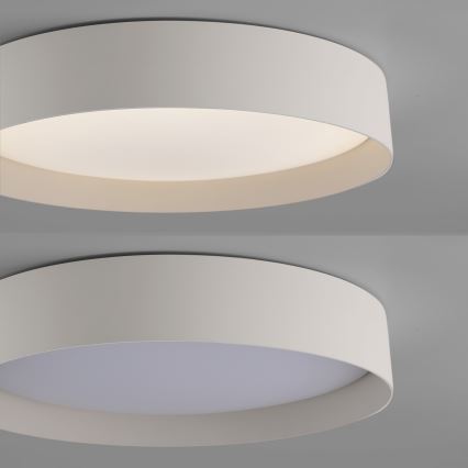 Schöner Wohnen 14594-39 - Candeeiro de tecto LED dimmerizável TAVOLI LED/20W/230V 2700-6500K diâmetro 39 cm cinzento + controlo remoto