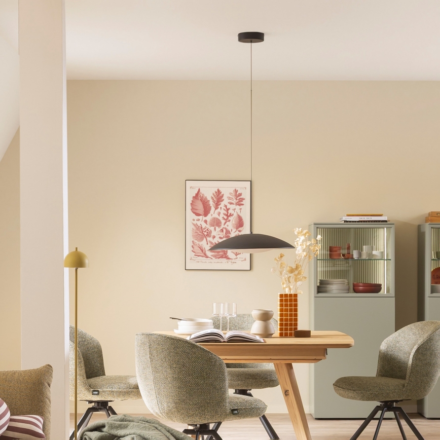 Schöner Wohnen 14606-18 - Lustre dimerizável suspenso por cabo LENTE LED/17W/230V Ø 40 cm preto