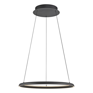 Schöner Wohnen 15570-18 - Lustre LED dimerizável suspenso por cabo QUILLO LED/36W/230V Ø 60 cm preto