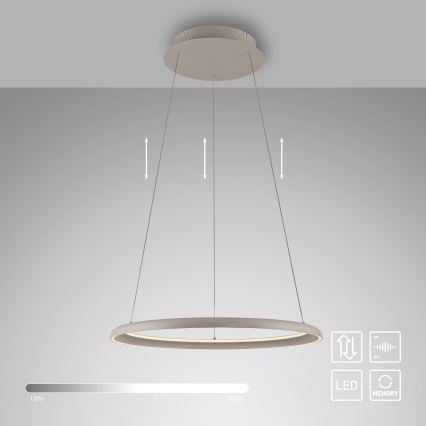 Schöner Wohnen 15570-39 - Lustre LED regulável suspenso por cabo QUILLO LED/36W/230V, diâmetro 60 cm, cinzento