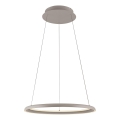 Schöner Wohnen 15570-39 - Lustre LED regulável suspenso por cabo QUILLO LED/36W/230V, diâmetro 60 cm, cinzento