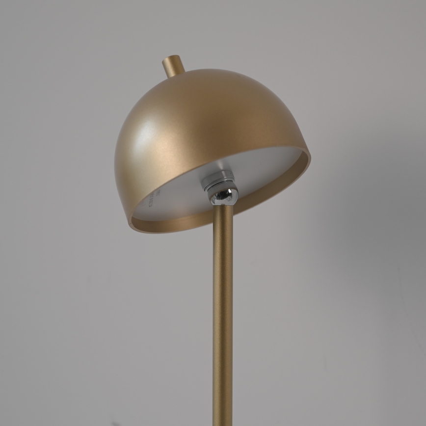 Schöner Wohnen 19244-12 - Candeeiro de mesa exterior recarregável, dimerizável e com controlo tátil BELLIS LED/2,5W/5V 2600 mAh IP54, dourado