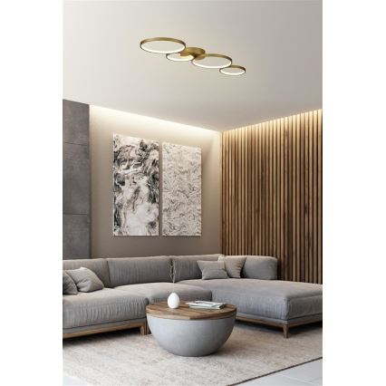 Searchlight - Luminária de teto LED dimerizável CIRQUE LED/37W/230V 3000K 33x97 cm