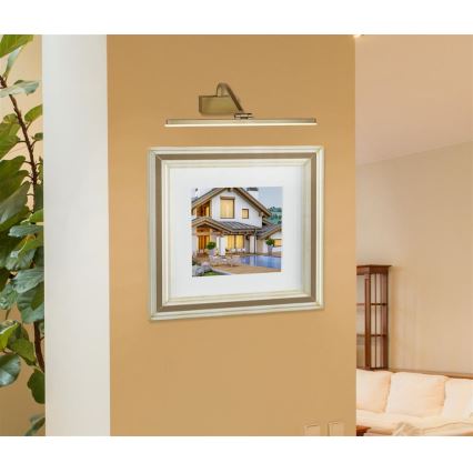 Searchlight - Luz de imagem LED LED/12W/230V dourado