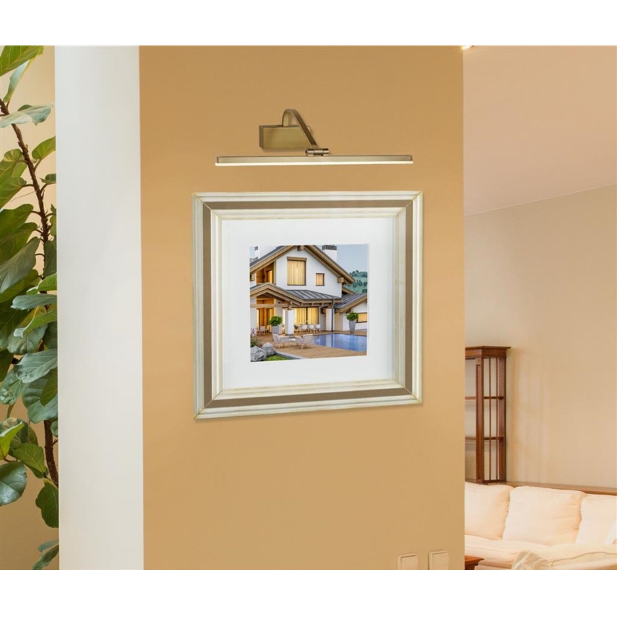 Searchlight - Luz de imagem LED LED/12W/230V dourado