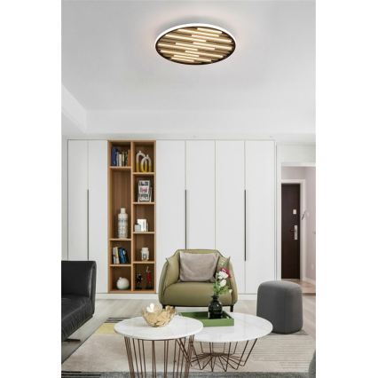 Searchlight - Plafon LED dimerizável EQUALISE LED/33W/230V