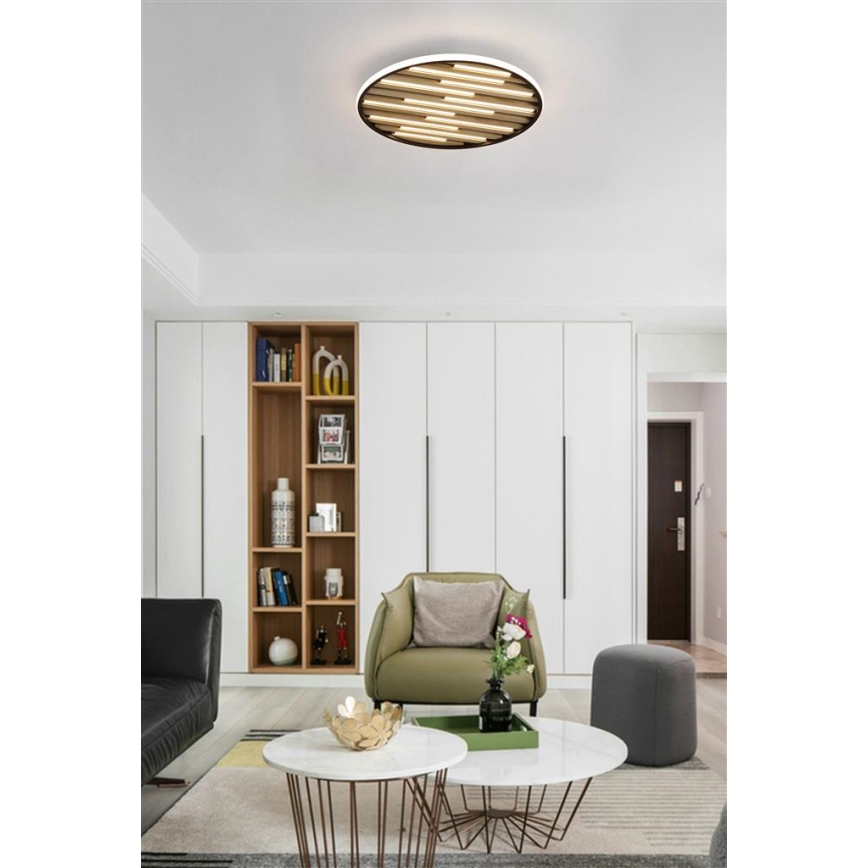 Searchlight - Plafon LED dimerizável EQUALISE LED/33W/230V