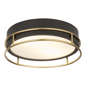 Searchlight - Iluminação de teto para casa de banho PHEONIX 2xE14/60W/230V diâmetro 30 cm IP44