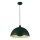 Searchlight - Lustre suspenso em cabo MARS 1xE27/60W/230V diâmetro 25 cm verde