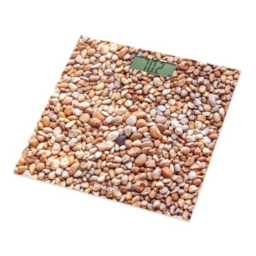 Sencor - Balança pessoal digital com ecrã LCD 1xCR2032