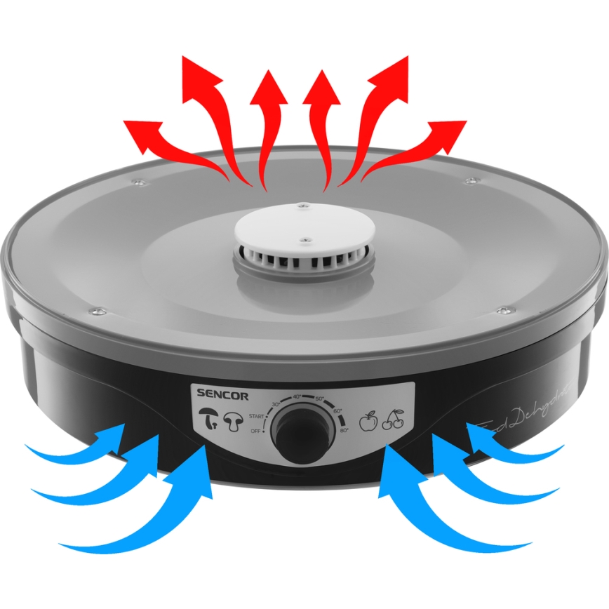 Sencor - Desidratador de alimentos com termorregulação 250W/230V