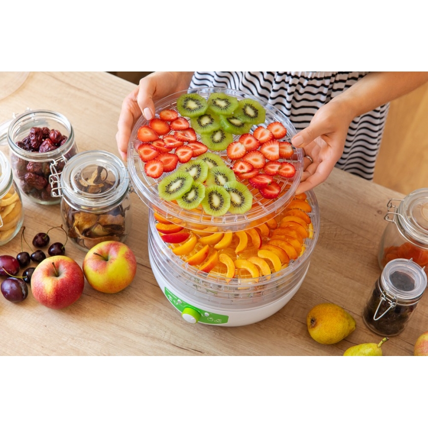 Sencor - Secador de fruta com termoregulação 250W/230V