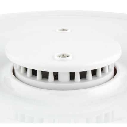 Sencor - Secador de fruta com termoregulação 250W/230V