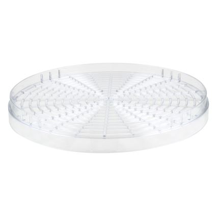 Sencor - Secador de fruta com termoregulação 250W/230V