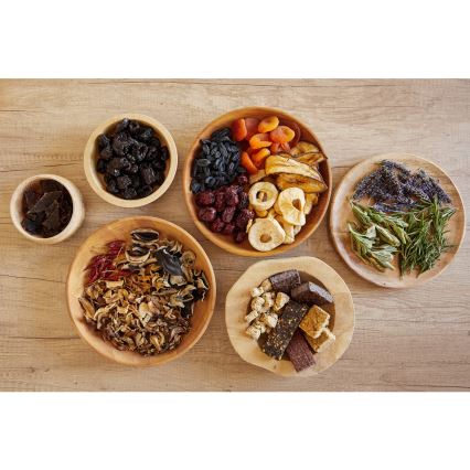 Sencor - Secador para alimentos 800W/230V