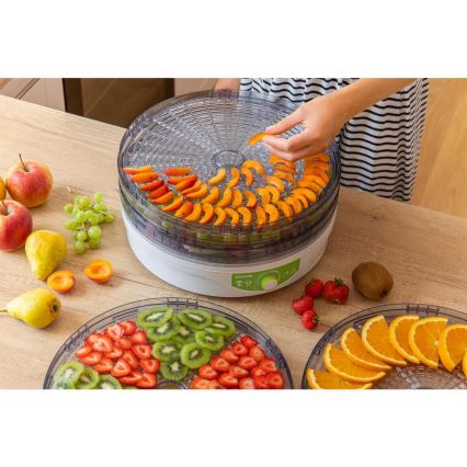 Sencor - Secador para alimentos com termoregulação 250W/230V