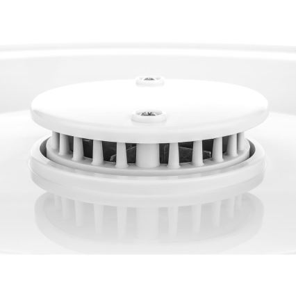 Sencor - Secador para alimentos com termoregulação 250W/230V