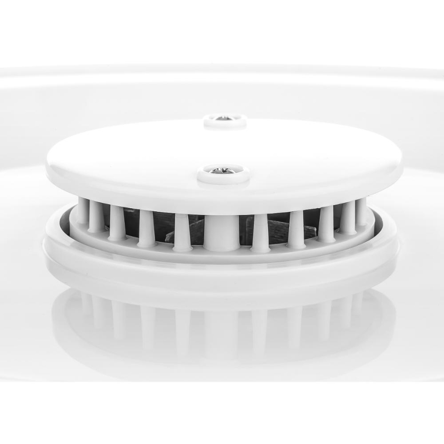 Sencor - Secador para alimentos com termoregulação 250W/230V