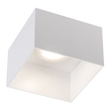 Shilo - Iluminação de teto 1xGX53/15W/230V branca