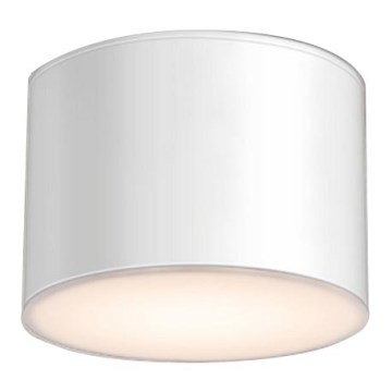 Shilo - Iluminação de teto 1xGX53/15W/230V branca