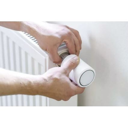 Smart cabeça termostática com visor LCD GoSmart M30x1,5 2xAA/1,5V Tuya