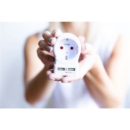 Adaptador de viagem para os EUA 230V + 2x porta USB