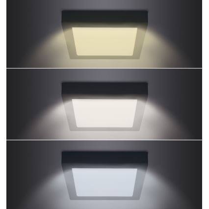 Iluminação de teto LED LED/24W/230V 3000/4000/6000K preto angular