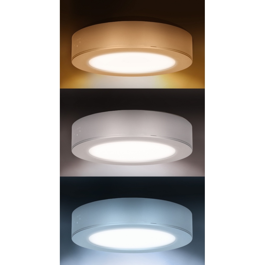 Painel LED 2 em 1 (sobreposto/embutido) 12W/230V 3000/4000/6000K Ø17 cm IP54 prateado