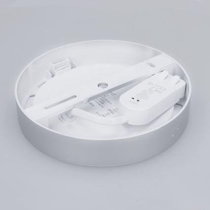 Painel LED 2 em 1 (sobreposto/embutido) 12W/230V 3000/4000/6000K Ø17 cm IP54 prateado