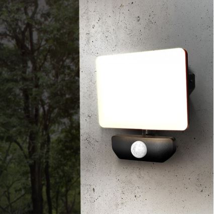 Holofote exterior LED com sensor LED/30W/230V 4000K IP44