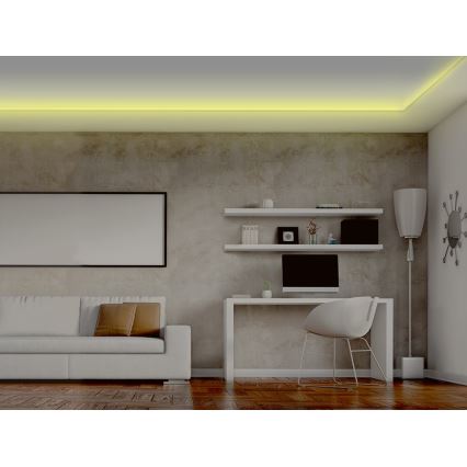 Tira LED RGB com regulação LED/20W/230V 5m IP65 Tuya + CR