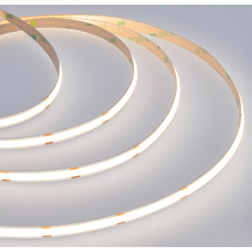 Fita LED LED/8W/m/230V 4000K 5m