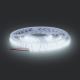 Tira LED LED/50W/12V 5m branco frio