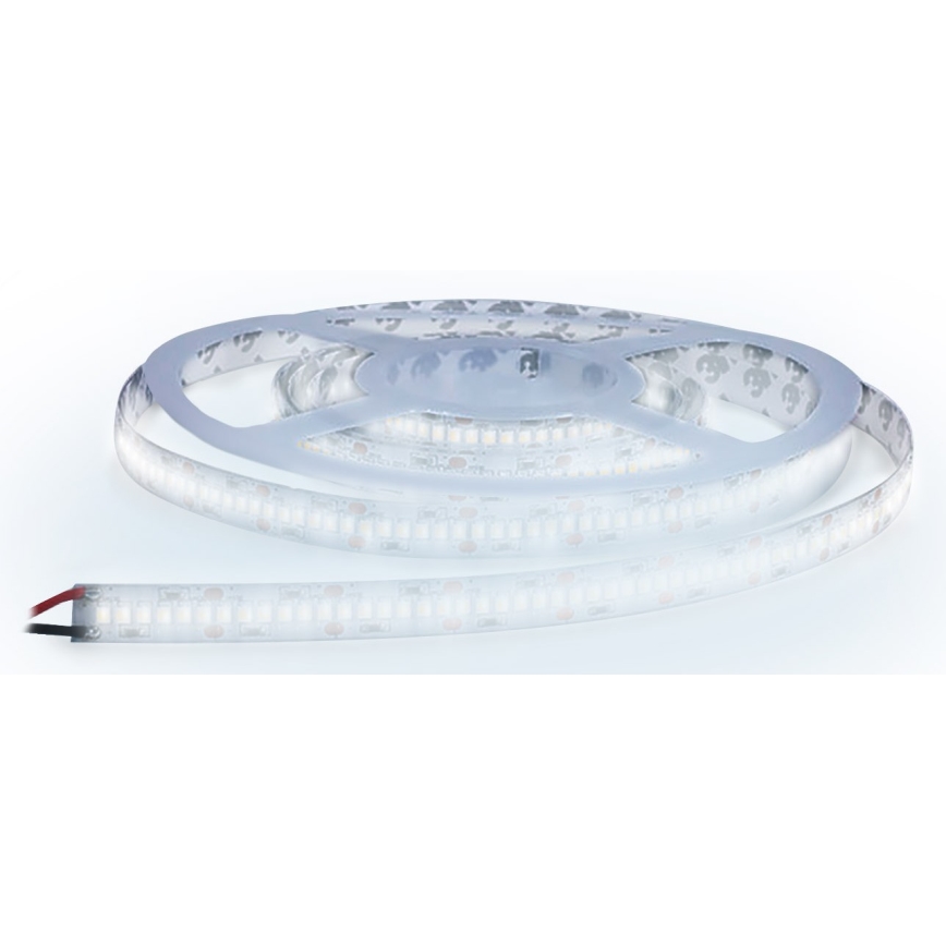 Tira LED LED/80W/12V 5m branco frio