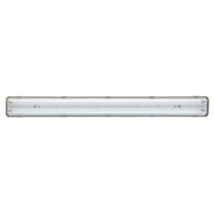 Luz fluorescente de trabalho T8 2xG13/18W/230V IP65